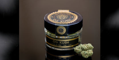 Fleurs de CBD Og Kush - Cbd Shop - CBDshop - OGkush - Cannabidiol - Barong CBD Shop - Indoor - Le mEilleur CBD
